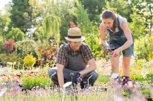 Accessible landscaping website viewed on a laptop in Chigwell