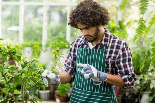 Keyboard navigation focus on a landscaping services website