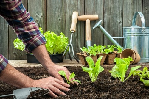 Cookie policy introduction for Landscaping Chigwell website