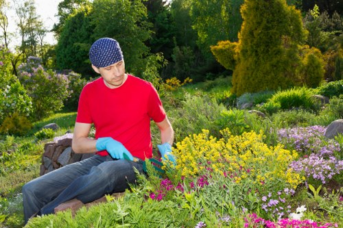 Garden makeover transformation ideas for a Chigwell home