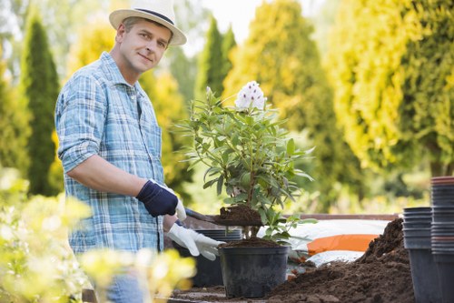 Low-maintenance garden makeover for a Chigwell property