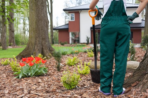 Waste removal measured for a suburban Chigwell garden job