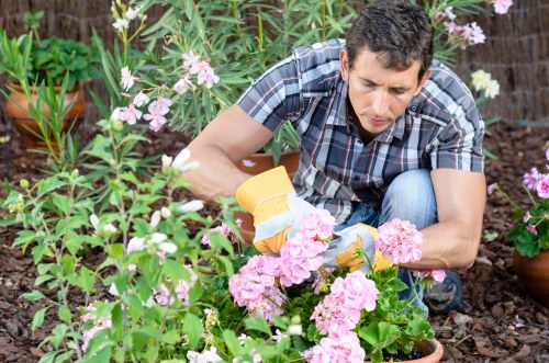 Assessing a landscaping complaint during investigation