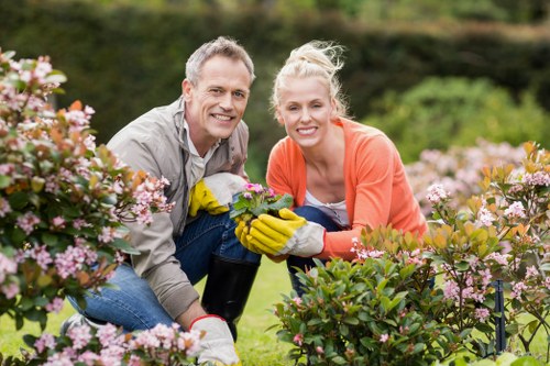 Stylish Chigwell garden landscaping with structured planting
